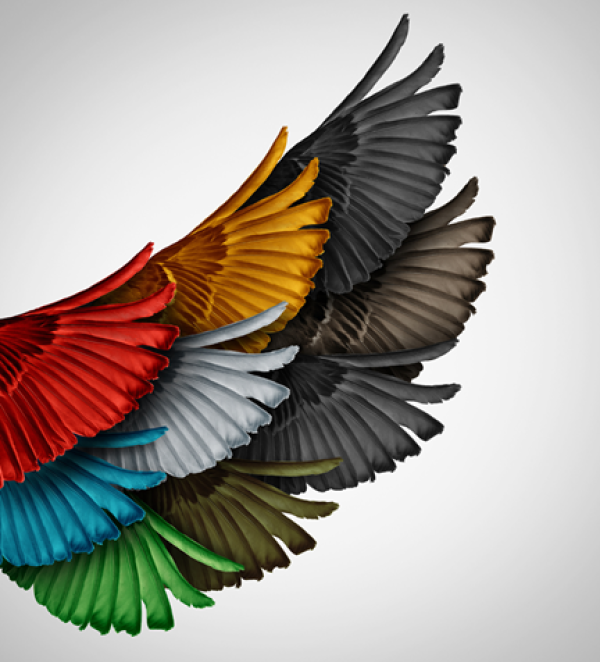 P.U.S.H. partnership and collaboration